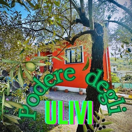 Vila Podere Degli Ulivi Family Serravalle Pistoiese Exteriér fotografie